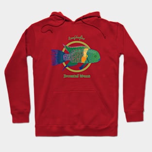 Broomtail Wrasse Hoodie